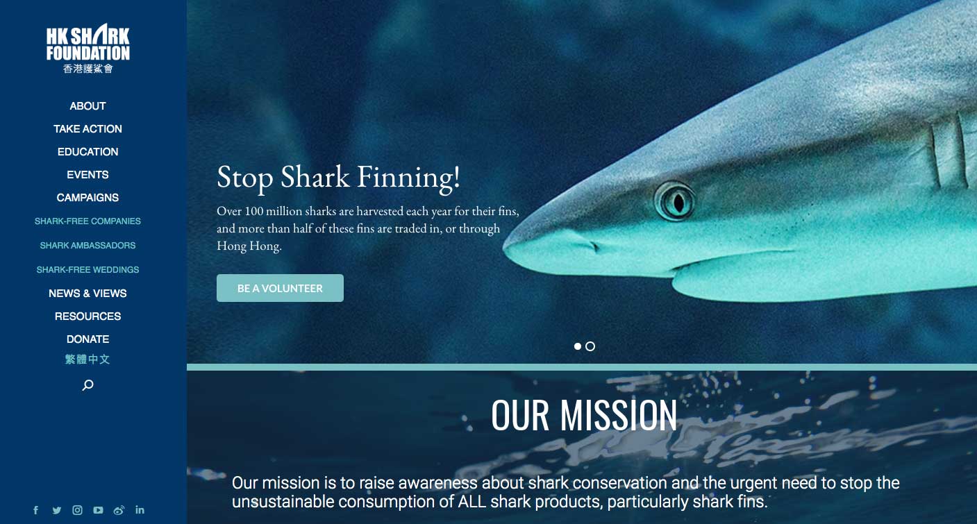 ado studio web agency hong kong hksharkfoundation ngo